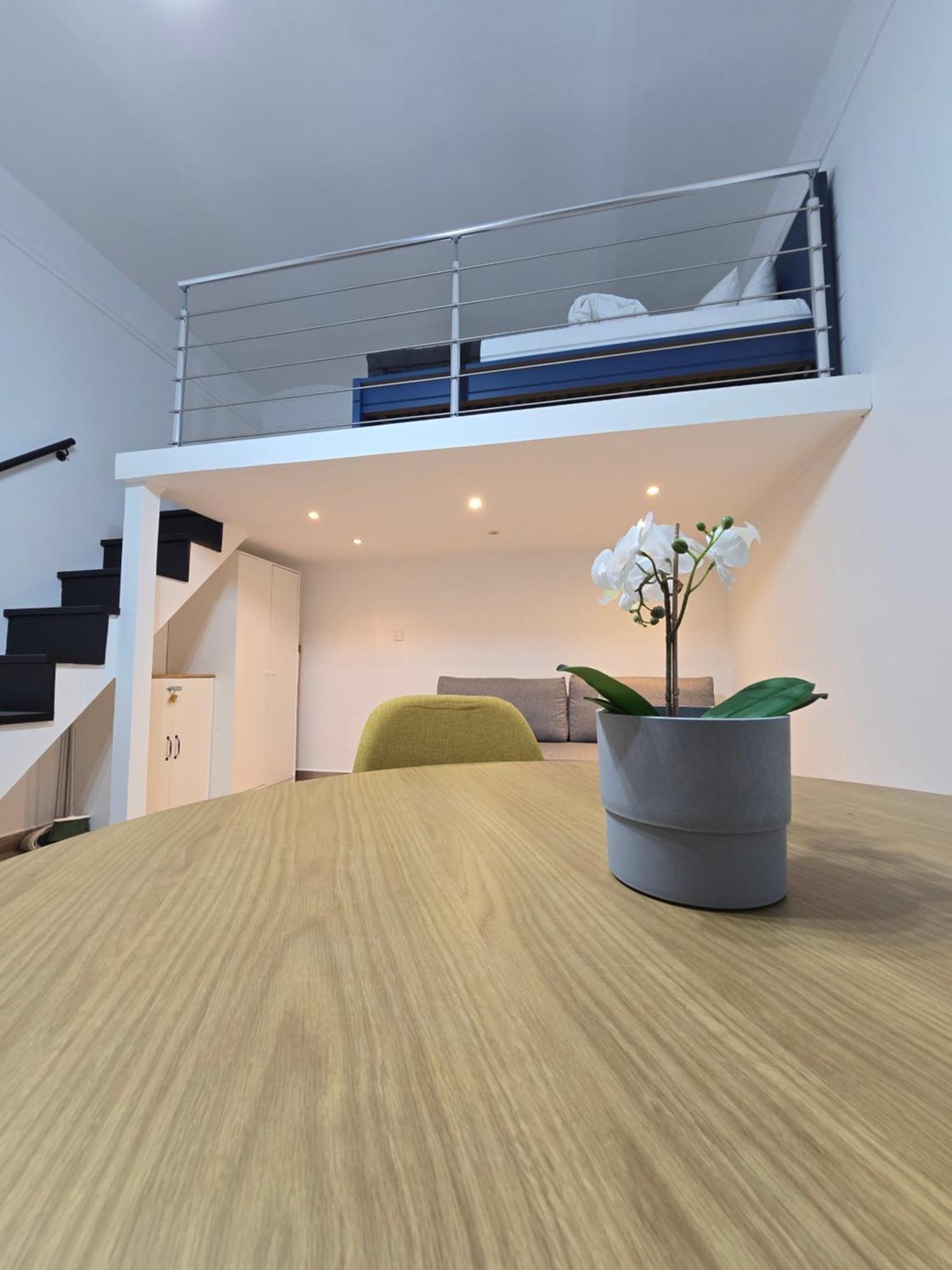 Primavera - New In The Heart Of Apartament *